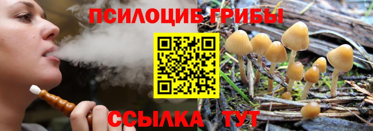 Новосибирск  Псилоцибиновые грибы MAGIC MUSHROOMS  Вход с VPN 