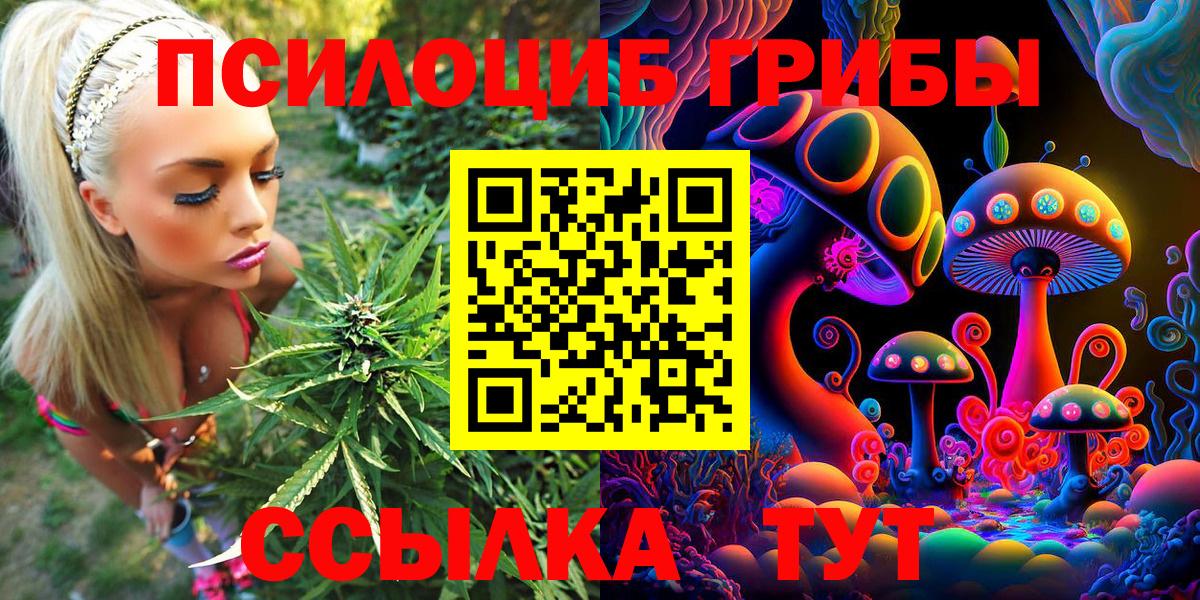Псилоцибиновые грибы мухоморы Новосибирск